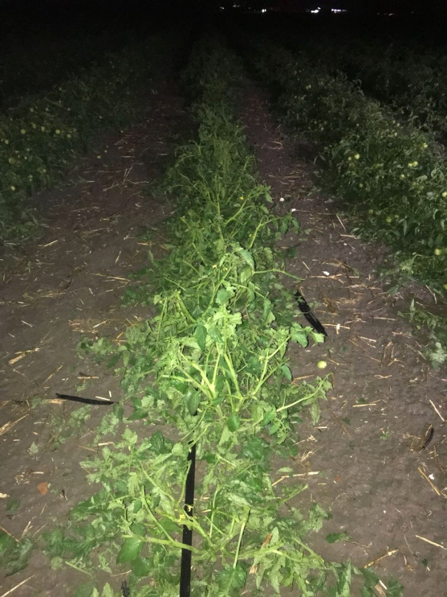 Karacabey’i Dolu Vurdu