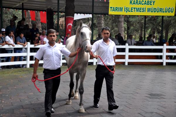 Daire Fiyatına ‘Tay’