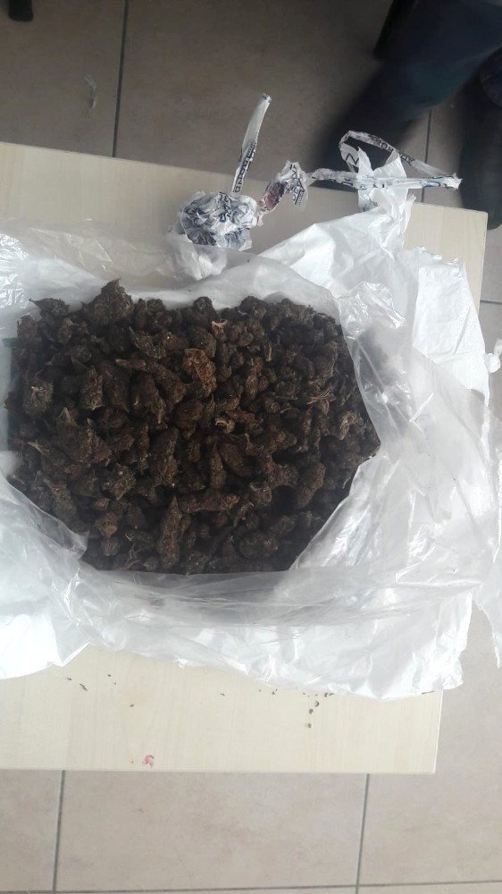 Uyuşturucu Satıcıları Yakalandı