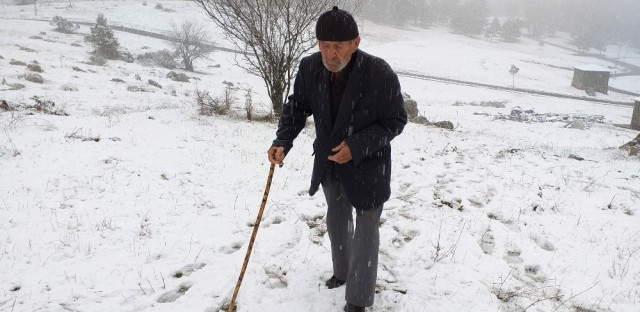 Bu Yayla Felçli Koah Hastasını Ayağa Kaldırdı