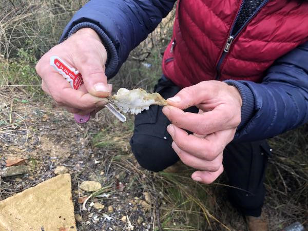 İznik’te Tarlada İş Makinesi ile Kaçak Kazı