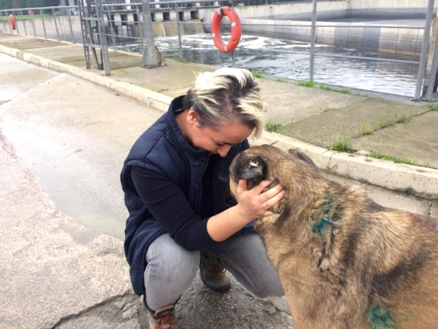 Maganda Kurşunuyla Yaralanan Köpek Sağlığına Kavuştu