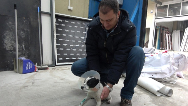 O Sürücüyle Köpeğin Sahibi Buluştu