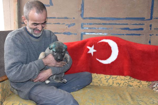 Barakada, Tek Başına Yaşam Mücadelesi