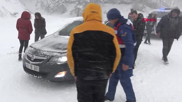 Bursa Otomobil Altında Kalan ‘Paşa’ Köpeği Jandarma Kurtardı