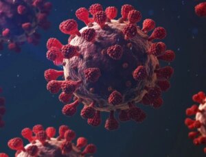 Dünya yeni bir tehlikenin eşiğinde! İşte maymun çiçeği virüsünden korunmanın tek yolu