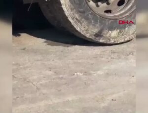 Salça Üretimi Yapan İşletmenin Faaliyetleri Askıya Alındı