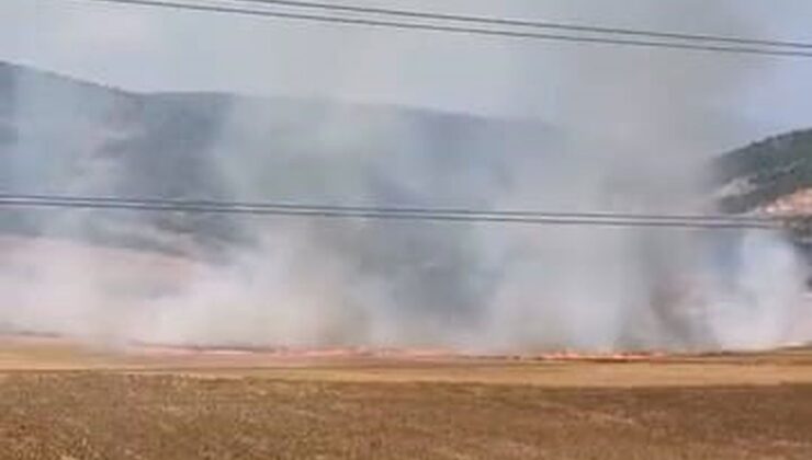İnegöl’de Tarlayı Ataşe Veren 16 Yaşındaki Kuşkulu Yakalandı