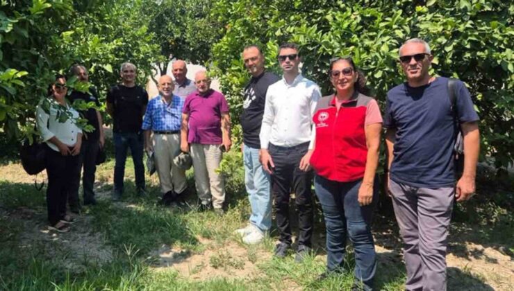 Muğla’da Turunçgilde Biyotop Odaklı Gayret